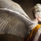 Illustration for article titled Channing Tatum Could Have Been A Lot More Furry In iJupiter Ascending/i